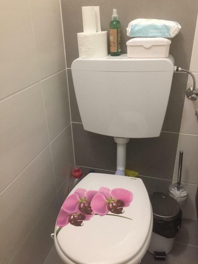 Komfortables Appartement/Garconniere In Graz Fuer Urlaub Und Geschaeftsreisen Eksteriør bilde
